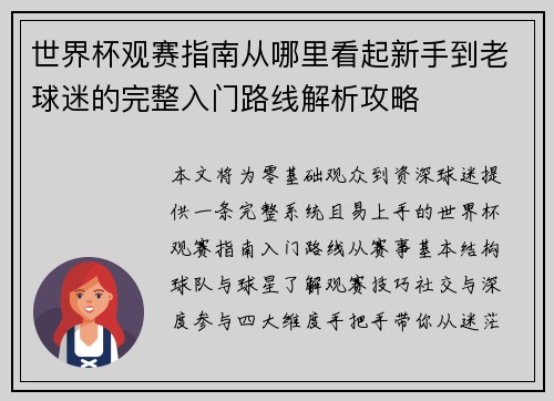 世界杯观赛指南从哪里看起新手到老球迷的完整入门路线解析攻略