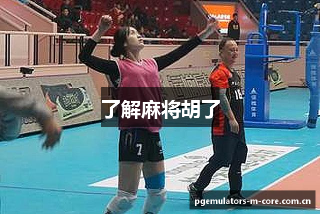 了解麻将胡了